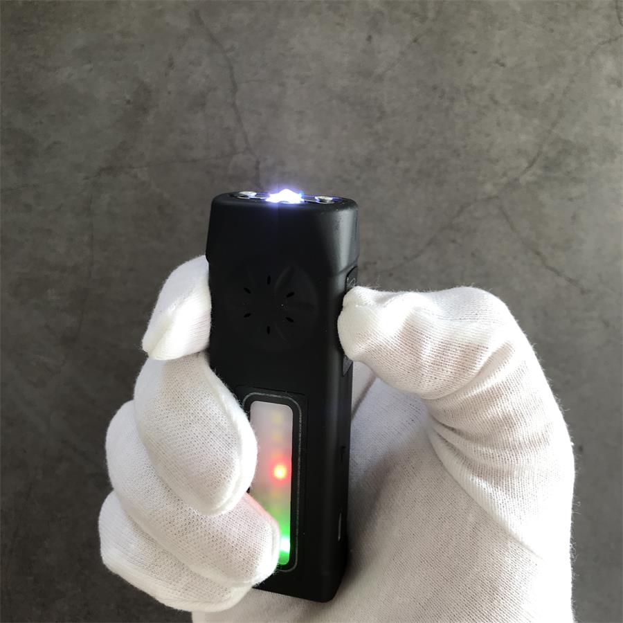 Mini Multi-function Light Stun Gun