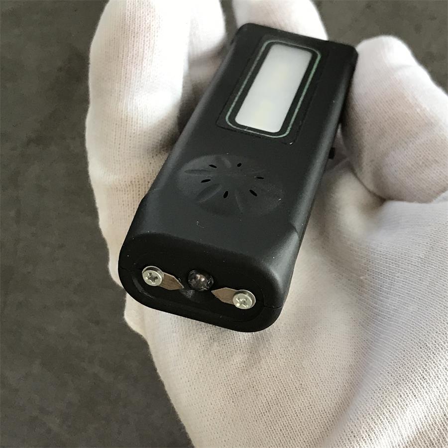 Mini Multi-function Light Stun Gun