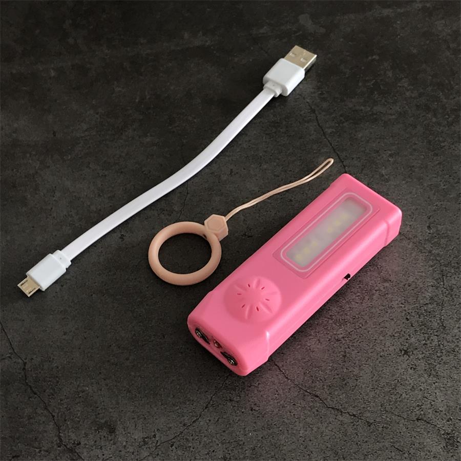 Mini Multi-function Light Stun Gun