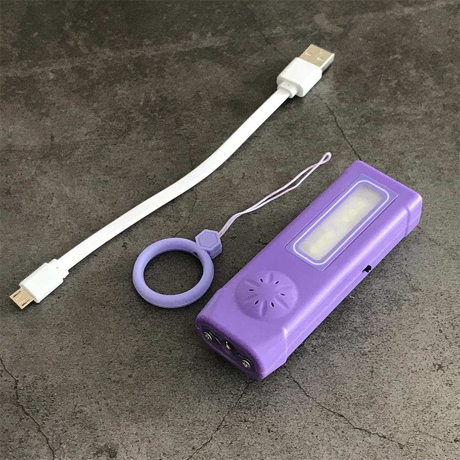 Mini Multi-function Light Stun Gun
