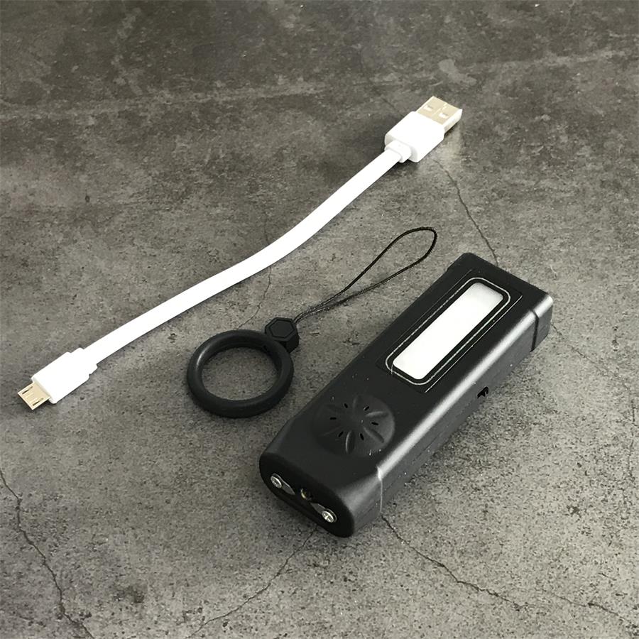 Mini Multi-function Light Stun Gun