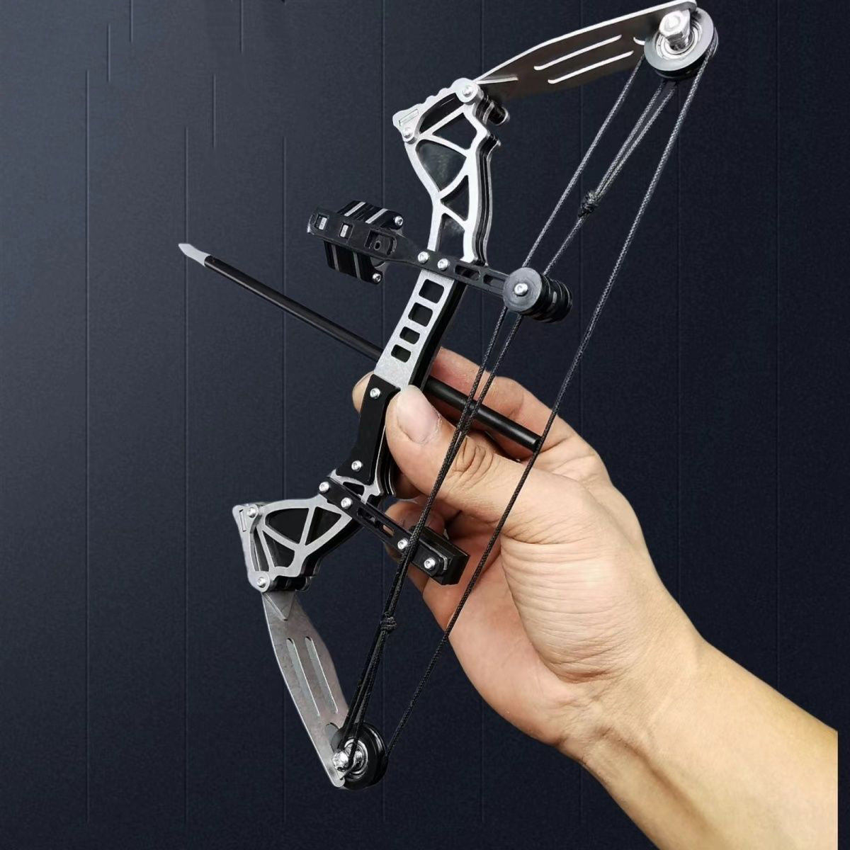 Compound Bow Training Shooting High Power Bow and Arrow